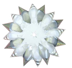 6" Holographic Cone Backer - White/Silver
