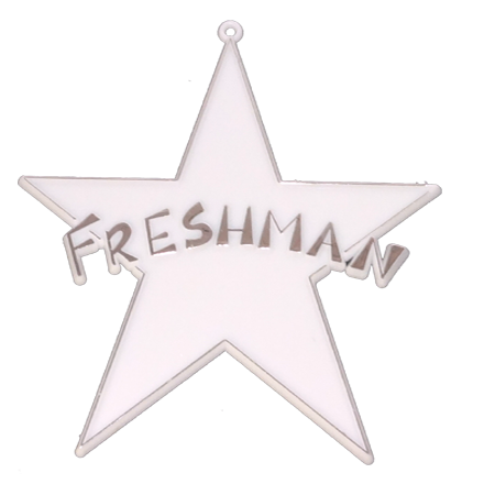 Freshman Star - 4" - White/Metallic SIlver - 12 pc. pkg.