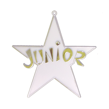 Junior Star - 4" - White/Metallic Gold - 12 pc. pkg.
