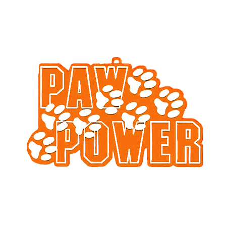 Paw Power Charm - 4" - Orange/White - 1 pc. pkg.