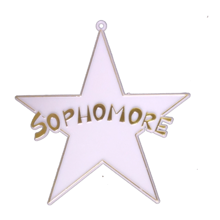 Sophomore Star - 4" - White/Metallic Gold - 2 pc. pkg.