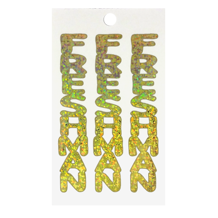 Pegable Freshman Sticker - Holographic Gold - 2 per sheet