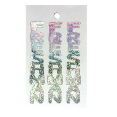 Pegable Freshman Sticker - Holographic Silver - 2 per sheet