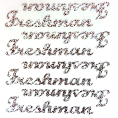 Freshman Glitter Sticker Sheet - Silver - 8 per sheet