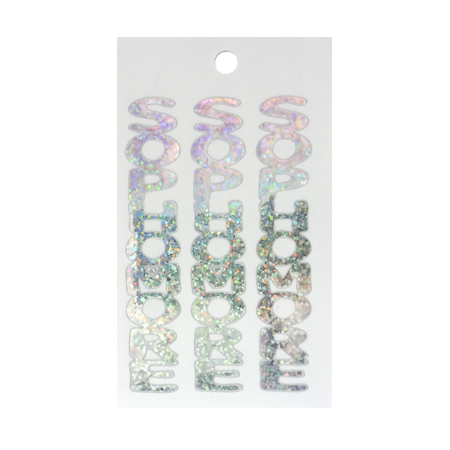 Pegable Sophomore Sticker - Holographic Silver - 2 per sheet